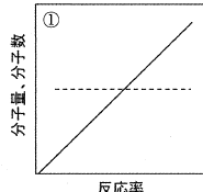 選択肢1