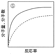選択肢5